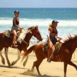 Cabo San Lucas: Horseback Riding in Migriño with Transfers - What to Expect Day-of