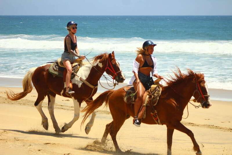 Cabo San Lucas: Horseback Riding in Migriño with Transfers - What to Expect Day-of