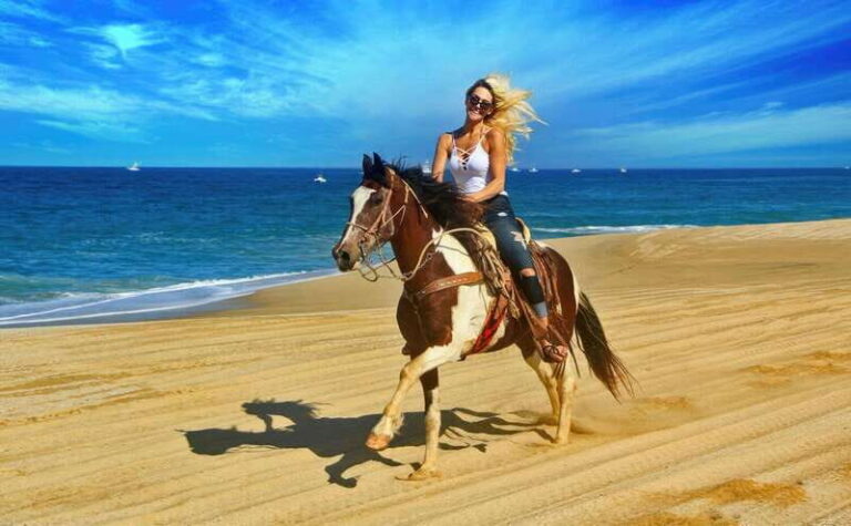 Cabo San Lucas: Horseback Riding On The Beach - Frequently Asked Questions (FAQs)