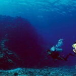 Cabo San Lucas: Marine Reserve Dive - Why the Marine Reserve Dive Offers Great Value