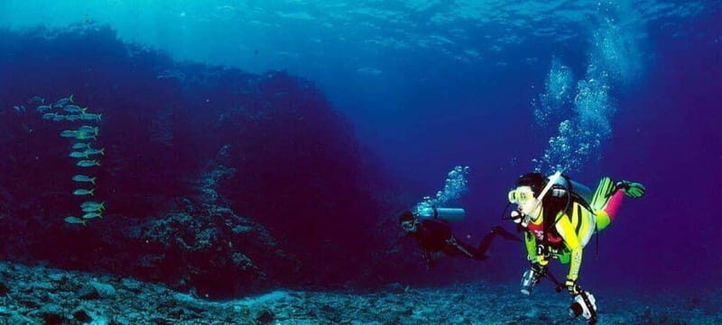Cabo San Lucas: Marine Reserve Dive - Why the Marine Reserve Dive Offers Great Value