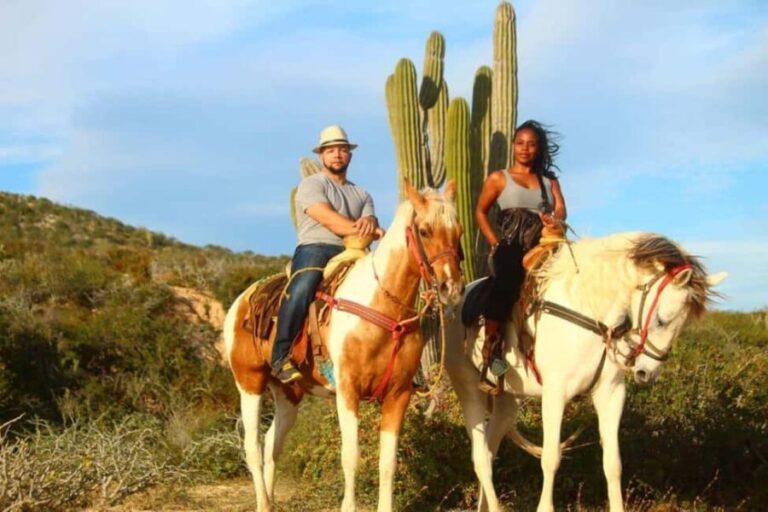 Cabo San Lucas: Migriño Horseback Riding Adventure - Detailed Review: Why This Tour Might Be Your Best Bet in Cabo