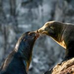 Cabo San Lucas: Private Sunset Cruise - The Experience in Detail: What to Expect