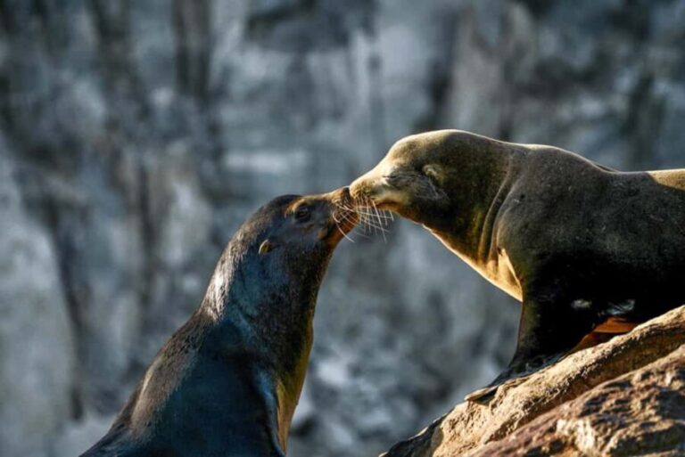 Cabo San Lucas: Private Sunset Cruise - The Experience in Detail: What to Expect