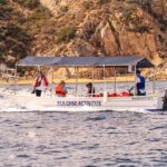 Cabo San Lucas Shared Glass Bottom Boat Experience - Why This Tour Offers Real Value