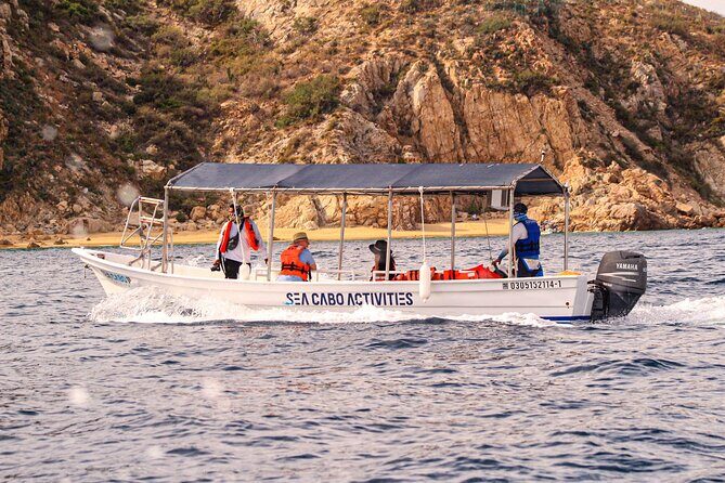 Cabo San Lucas Shared Glass Bottom Boat Experience - Why This Tour Offers Real Value