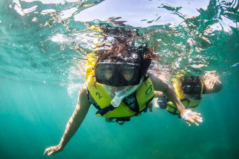 Cabo San Lucas: Snorkel, Lunch and Sail Experience - What to Expect: The Pros and Cons