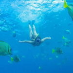 Cabo San Lucas: Snorkel, Paddle-board, and/or Kayak Tour - Who Should Consider This Tour?