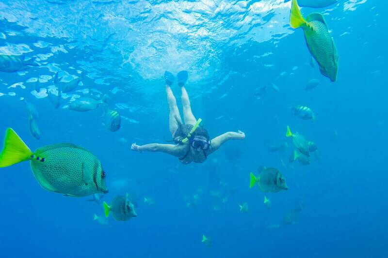 Cabo San Lucas: Snorkel, Paddle-board, and/or Kayak Tour - Who Should Consider This Tour?