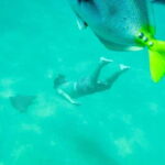 Cabo San Lucas: Snorkeling at Lovers Beach - Final Thoughts