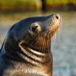 Cabo San Lucas: Sunset Cruise - What Makes It Special
