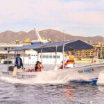 Cabo San Lucas: Tour al Arco en Barco Fondo de Cristal - Authentic Insights from Travelers
