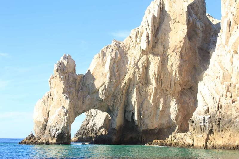 Cabo San Lucas: Up-Close Whale Watching Small-Group Tour - Why This Tour Stands Out