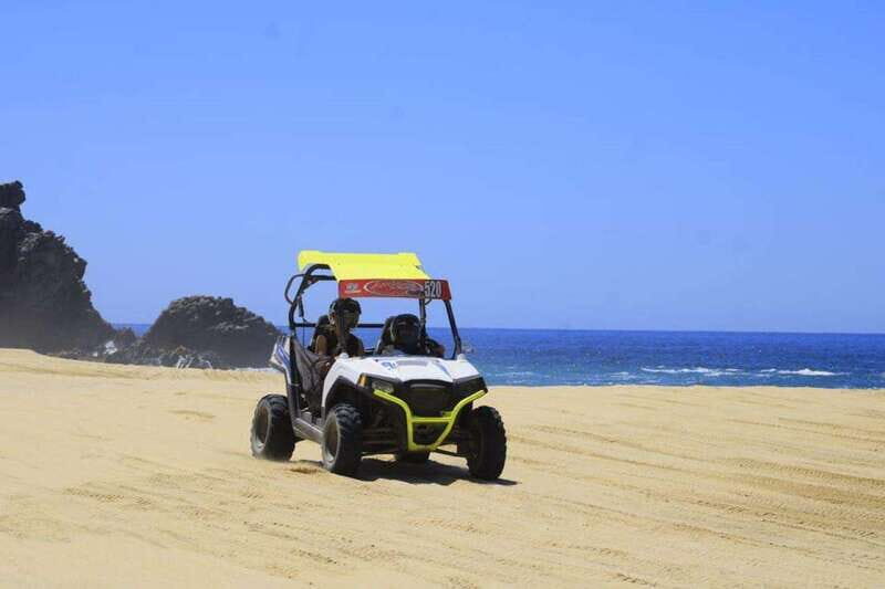 Cabo San Lucas: UTV Razor Fun with Desert, Beach, & Tequila - Who Is This Tour Best For?