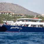 Cabo San Lucas Whale Watching Lunch Cruise - Who Will Love This Tour?