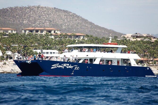 Cabo San Lucas Whale Watching Lunch Cruise