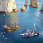 Cabo San Lucas Whale Watching Tour All Included - Who Should Consider This Tour?