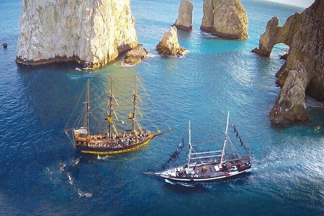 Cabo San Lucas Whale Watching Tour All Included - Who Should Consider This Tour?