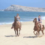 Cabo San Lucas: White Sand Horseback Adventure - The Practical Side: Logistics and Value