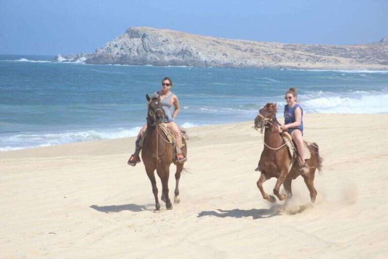 Cabo San Lucas: White Sand Horseback Adventure - The Practical Side: Logistics and Value