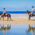 Cabo Shore Excursion: Beach Horseback Ride & Tequila Tasting - Wildlife & Seasonal Highlights