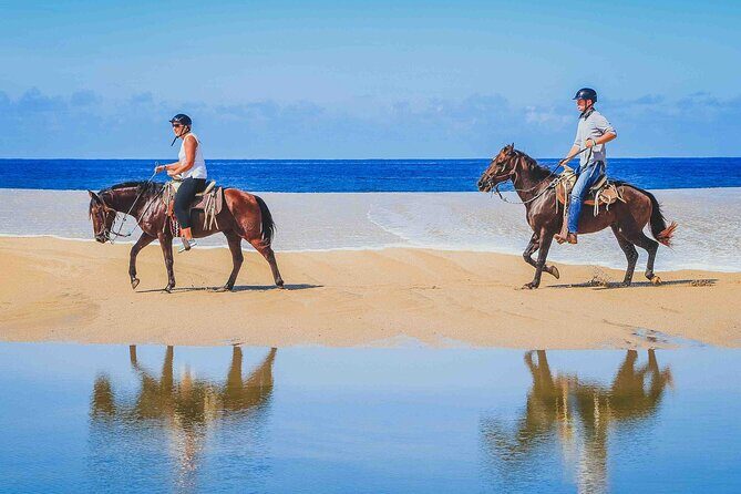 Cabo Shore Excursion: Beach Horseback Ride & Tequila Tasting - Wildlife & Seasonal Highlights