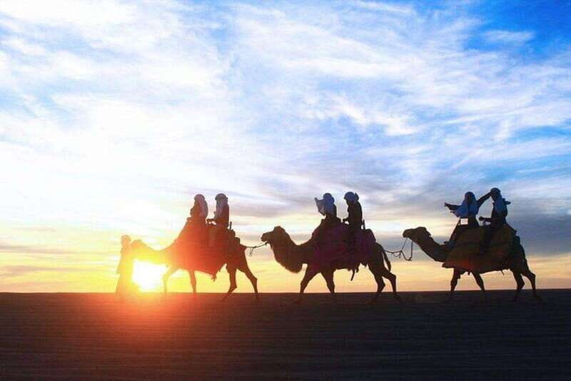 Cabo: Sunset Camel Ride and ATV Combo Adventure - Authenticity and Value