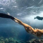 Cabo Wildlife SAFARI - Final Thoughts