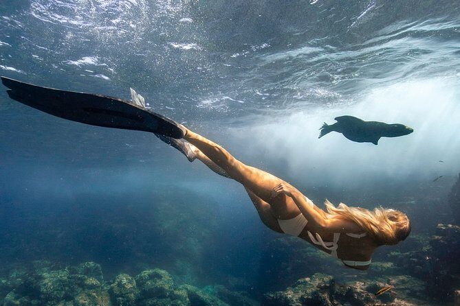 Cabo Wildlife SAFARI - Final Thoughts