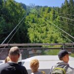 CabriO World's first Open Top Cable Car Ticket to Mt Stanserhorn - Insights from Travelers’ Reviews