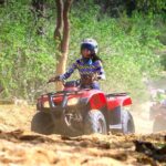 Cactus Combo Combine two of your favorite desert tours - Final Thoughts: Is the Cactus Combo Right for You?