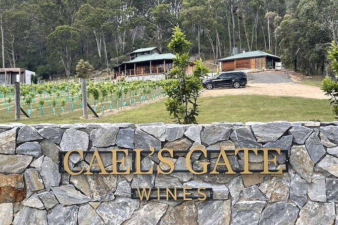 Cael's Gate Wine and Ploughmans Lunch in Hunter Valley - The Ploughman’s Lunch: A Hearty and Delicious Addition
