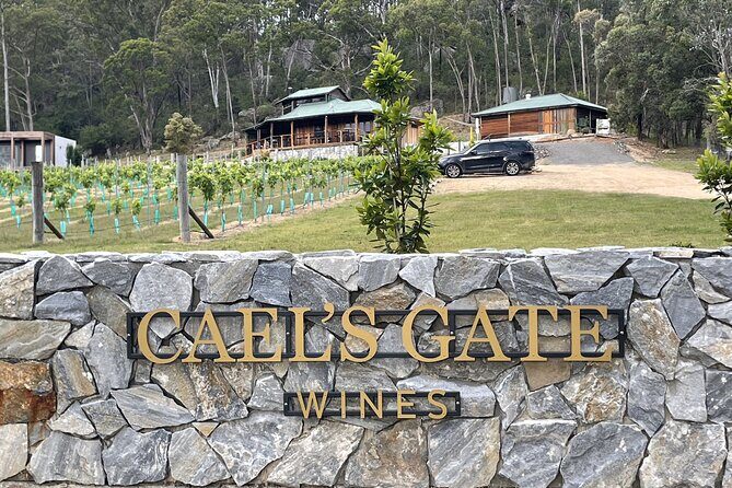 Caels Gate Wine Tasting in Hunter Valley - The Experience in Detail