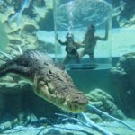 "Cage Of Death" Crocodile Swim and Entry to Crocosaurus Cove - The Value of the Experience
