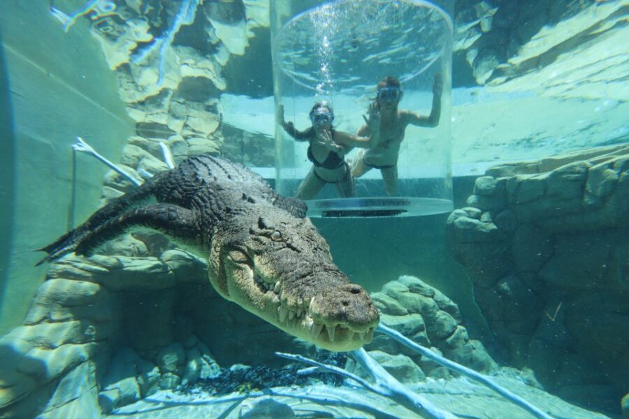 "Cage Of Death" Crocodile Swim and Entry to Crocosaurus Cove - The Value of the Experience