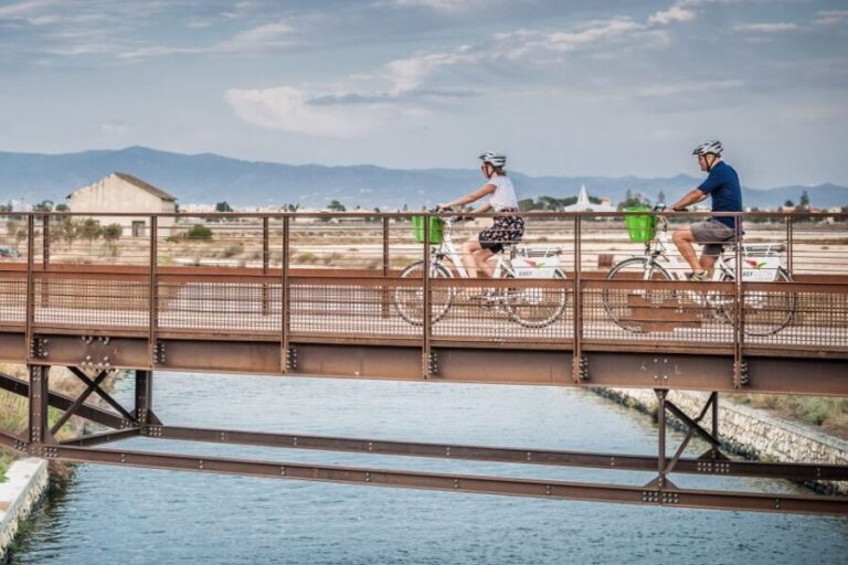 Cagliari E-Bike Tour: Canals & Flamingos at Molentargius - Exploring the Cagliari E-Bike Tour: An In-Depth Look