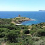 Cagliari: Full-Day Private Tour of Sardinia's Hidden Beaches from Chia - Why This Tour Works for Travelers