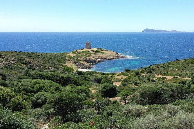 Cagliari: Full-Day Private Tour of Sardinia's Hidden Beaches from Chia - Why This Tour Works for Travelers