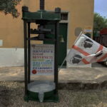 Cagliari Olive Oil Museum: Tours & Tasting a Dolianova - Exploring the Oil Production Process