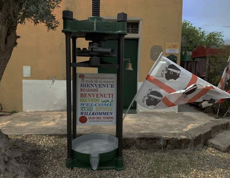 Cagliari Olive Oil Museum: Tours & Tasting a Dolianova - Exploring the Oil Production Process