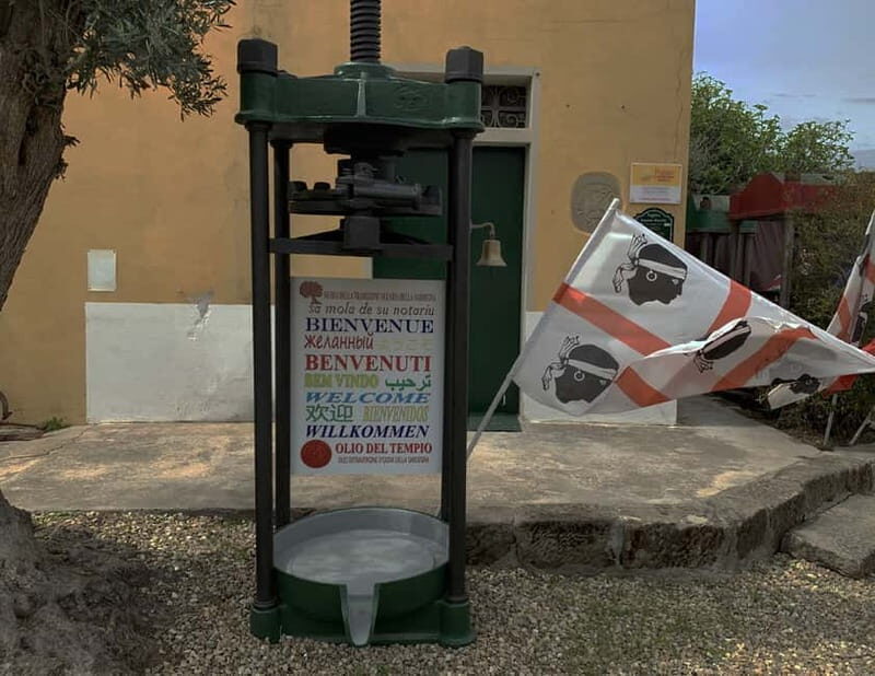 Cagliari Olive Oil Museum: Tours & Tasting a Dolianova - Exploring the Oil Production Process