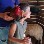 Cagliari: visit the animals of a farm - Who This Tour Is Best For