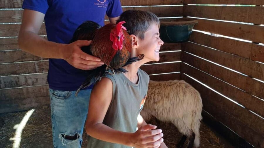 Cagliari: visit the animals of a farm - Who This Tour Is Best For
