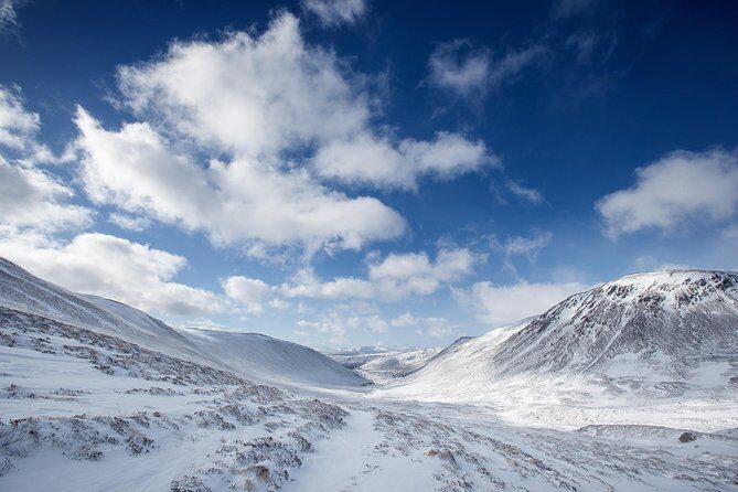 Cairngorms & Whisky Day Tour from Inverness Including Admission - Final Thoughts