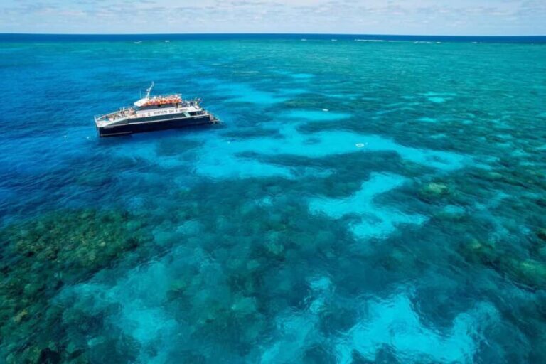 Cairns: 2-Day Great Barrier Reef and Fitzroy Island Tour - Who Will Love This Tour?