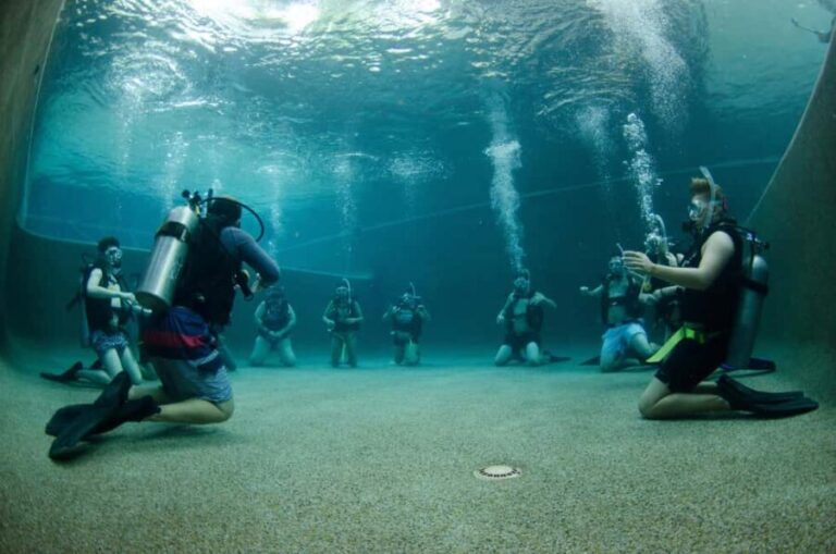 Cairns: 4-Day PADI Open Water Course - Authentic Feedback from Participants
