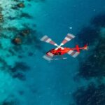 Cairns: 60 minute Scenic Flight Over the Reef & Rainforest - The Experience in Detail