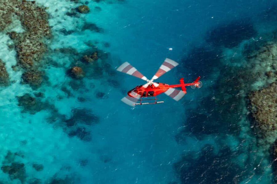 Cairns: 60 minute Scenic Flight Over the Reef & Rainforest - The Experience in Detail