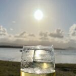 Cairns Airport to Port Douglas Shared Shuttle - FAQ