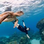 Cairns: All-Inclusive Great Barrier Reef Half-Day Snorkeling - Practicalities and Tips for Travelers